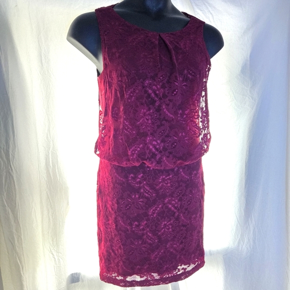 Lovely Lace Dress EUC - Picture 10 of 10